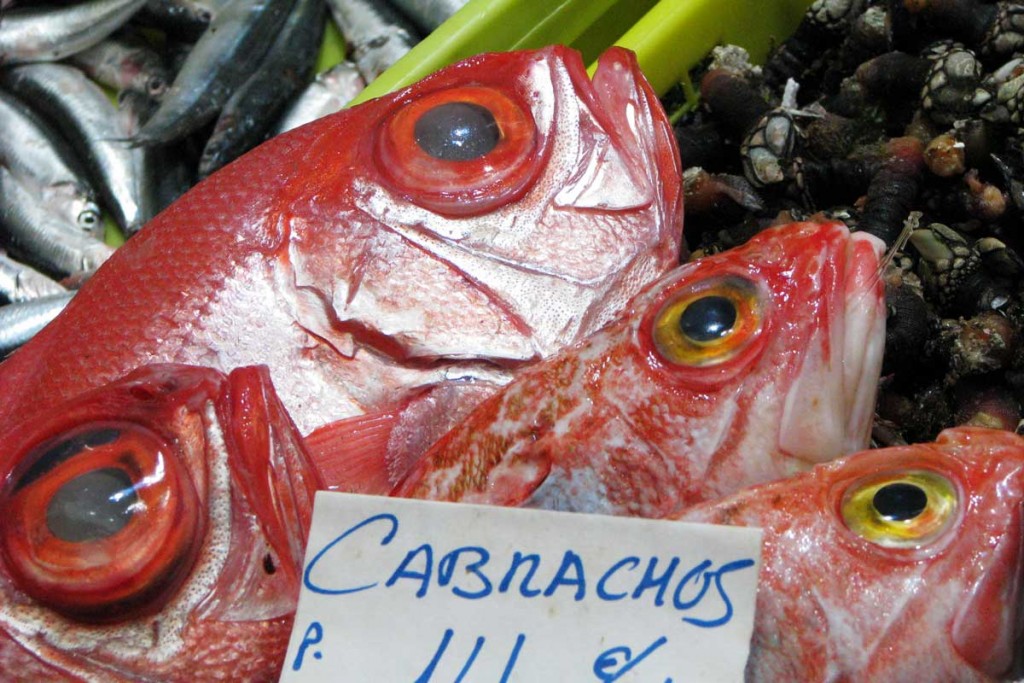 Baskimaan keittiössä tuoreita kaloja käytetään paljon.